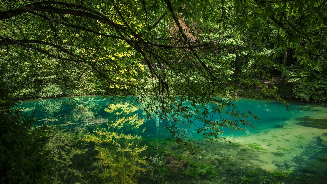 Blautopf De Alles Rund Um Den Blautopf In Blaubeuren